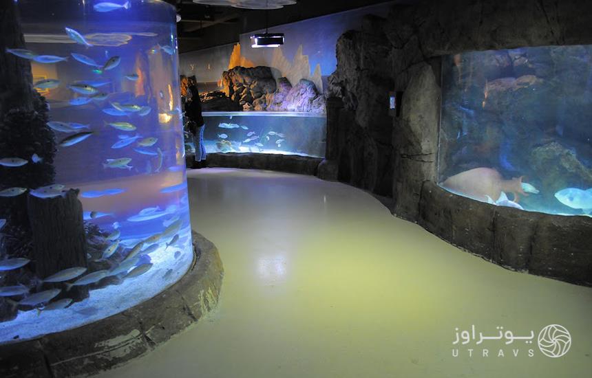 ُSea Life Aquarium